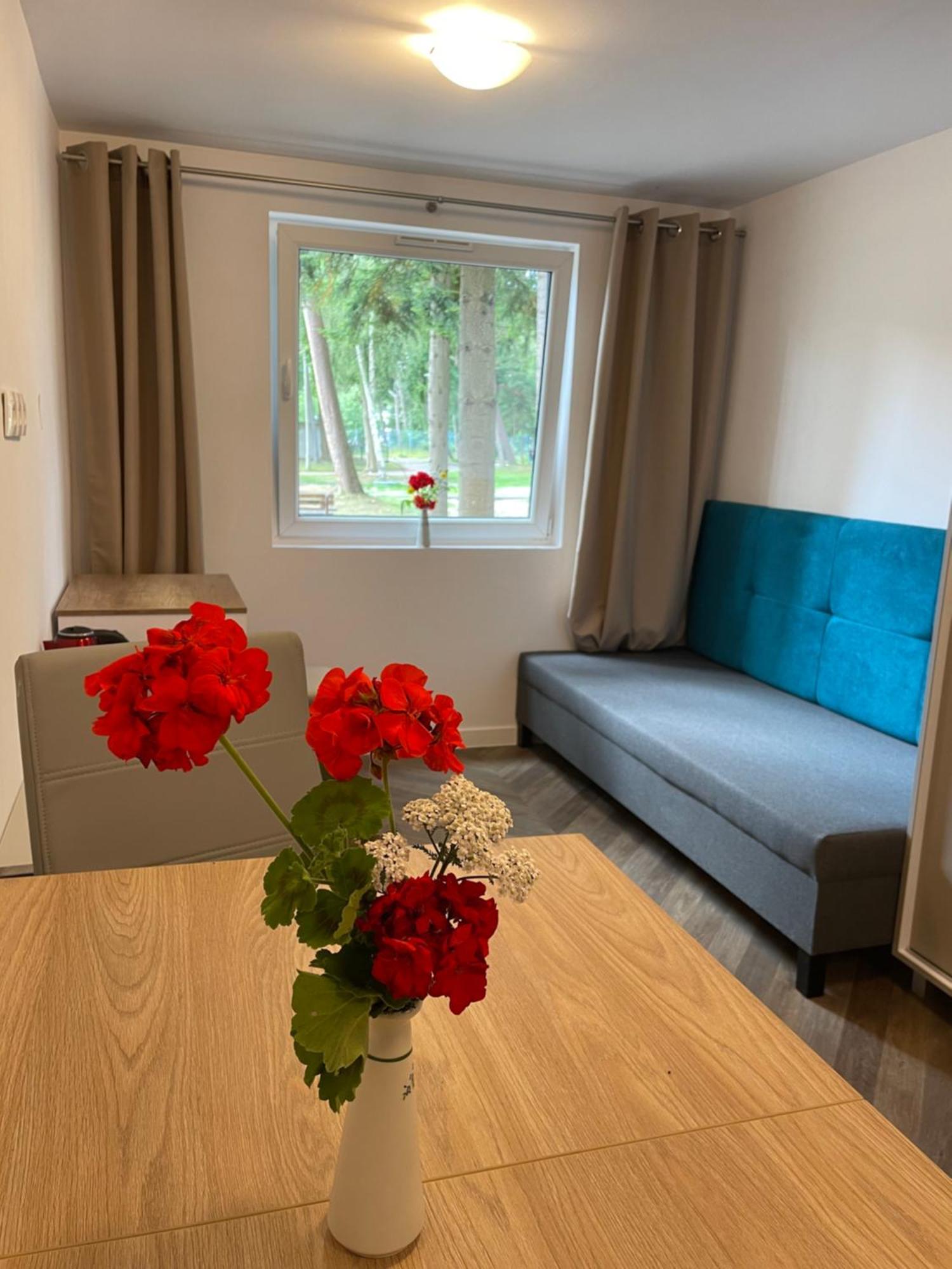 Domki Osrodek Wypoczynkowy Neptun Hotel Ujście-Darłowskie Buitenkant foto